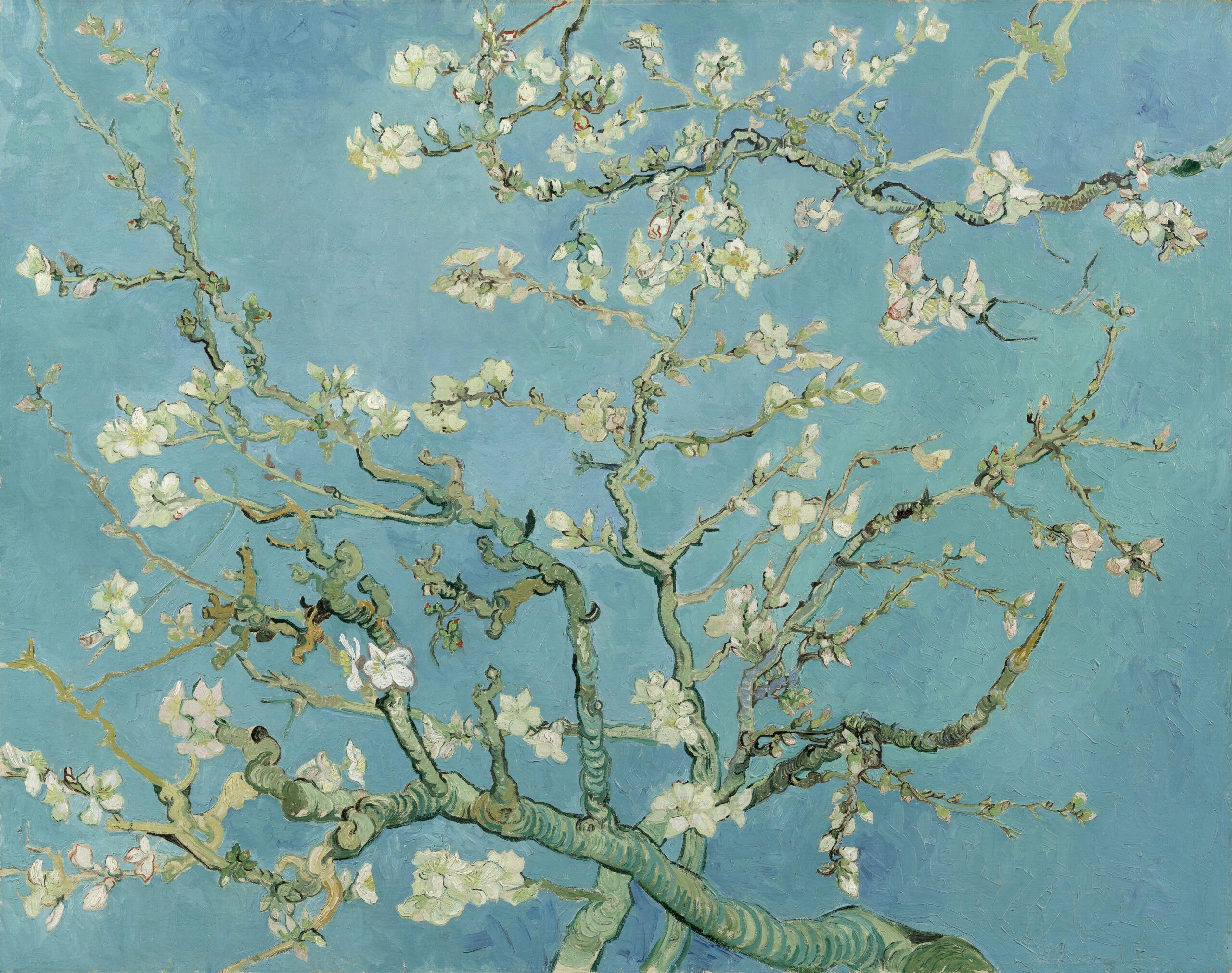 フィンセント・ファン・ゴッホ《花咲くアーモンドの木の枝（Almond Blossom）》1890年