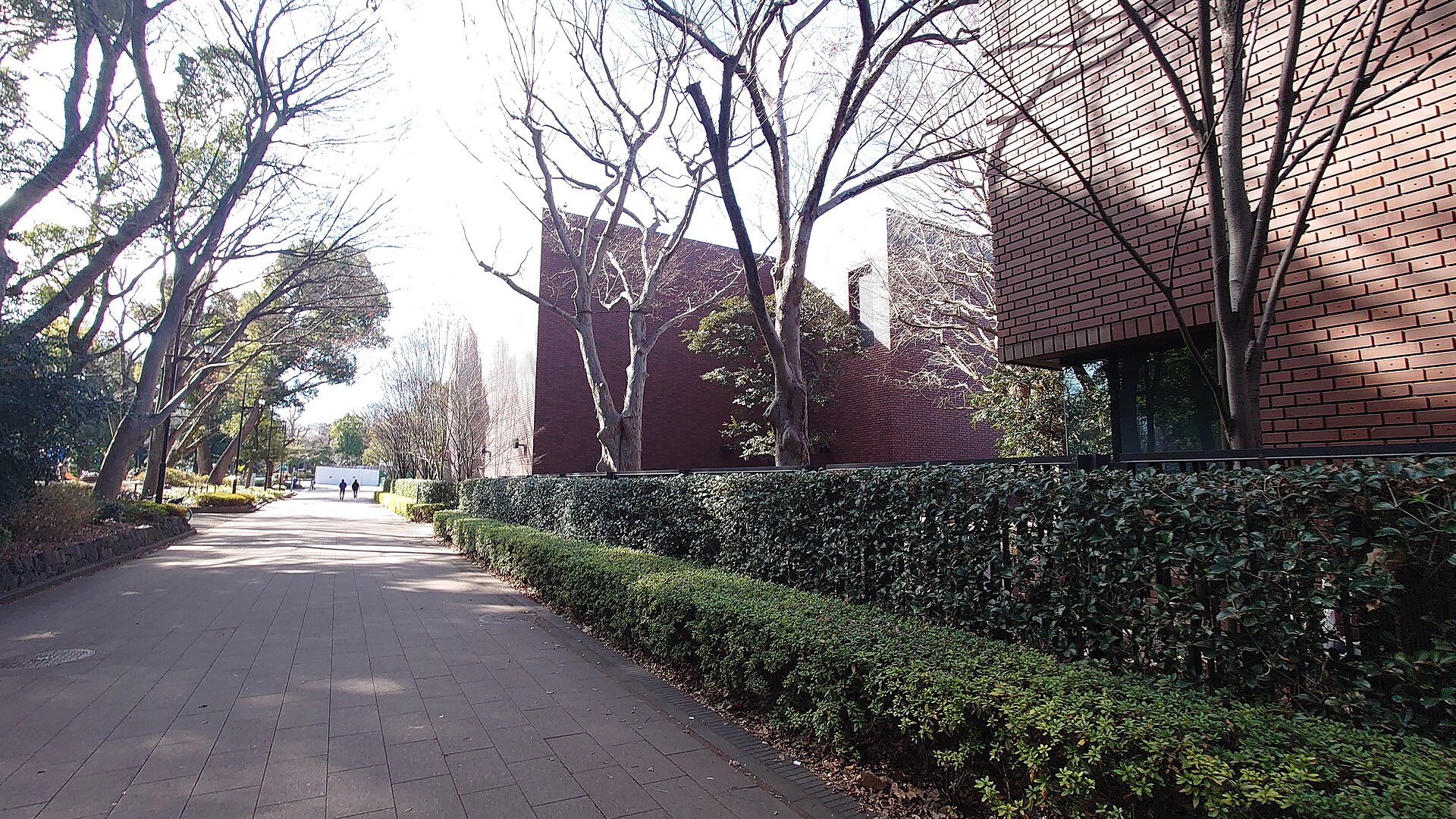 東京都美術館の外観 上野公園