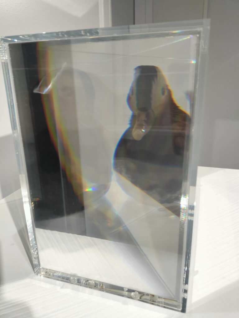 名和晃平《PixCell [Mandarin Duck]》2003年｜UESHIMA MUSEUM