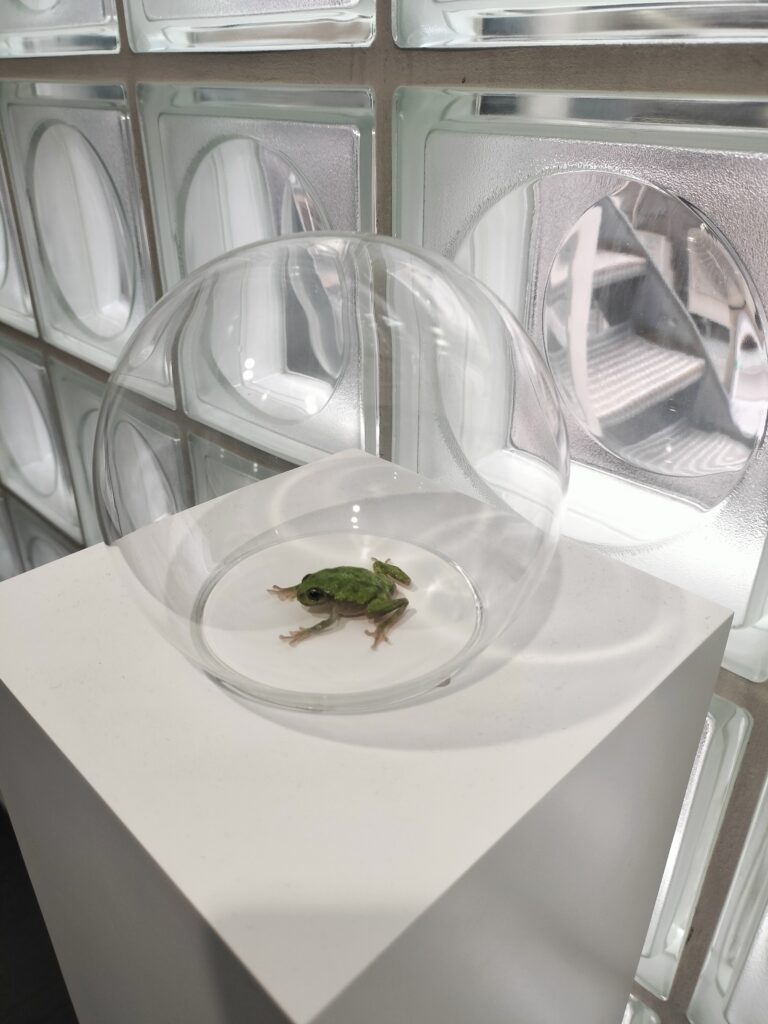 名和晃平《Frog 3》2025年|UESHIMA MUSEUM