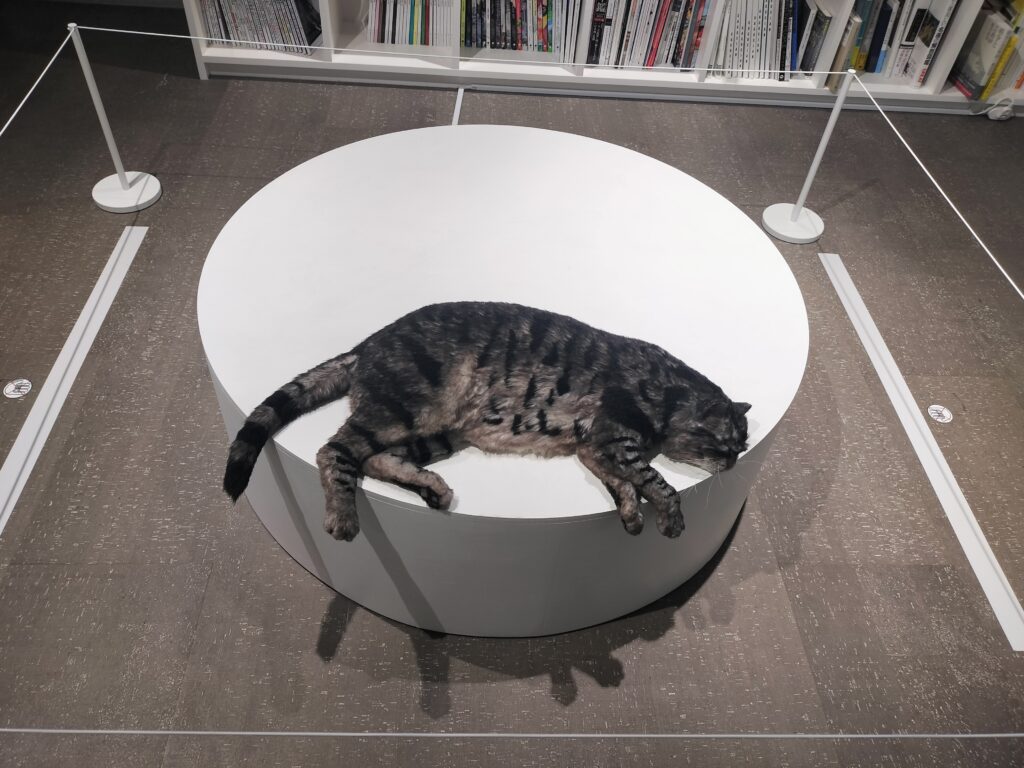 UESHIMA MUSEUMで展示されていた眠る猫の作品