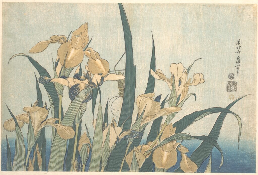 葛飾北斎《燕子花》カキツバタとキリギリスを描いた花鳥画