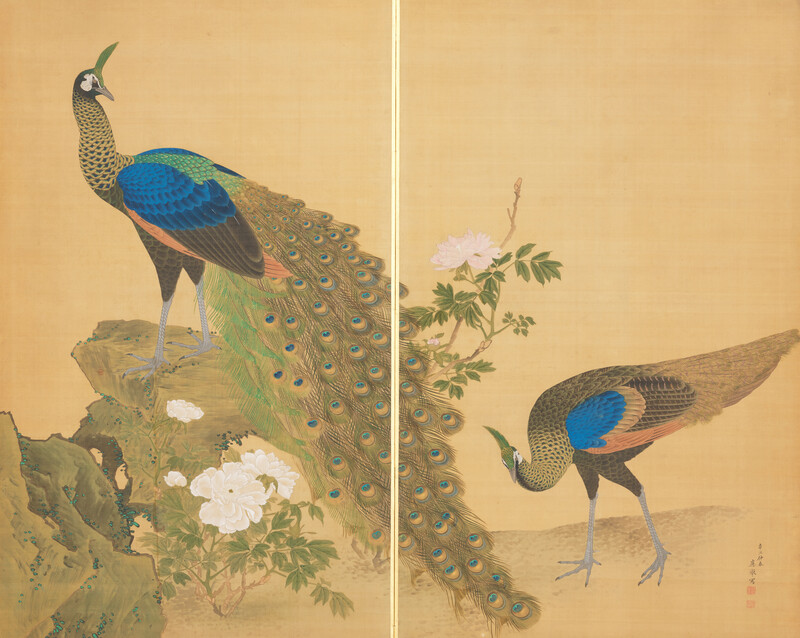 牡丹孔雀図 円山応挙 アーティゾン美術館